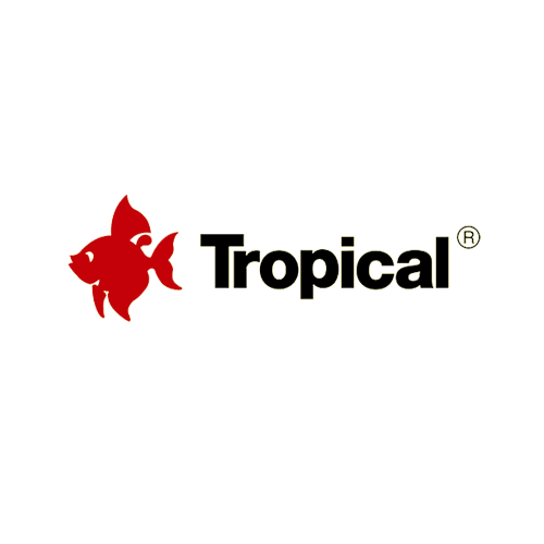 Tropical