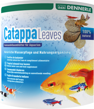 DENNERLE Aqua Rico - Catappa Leaves / Seemandelbaumblätter