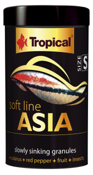 Tropical Soft Line Asia Size S