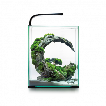 Preview: AQUAEL Shrimp Set Day & Night