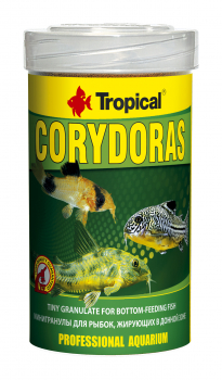 Tropical Corydoras