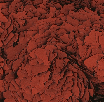 Tropical Astacolor - farbverstärkendes Flockenfutter