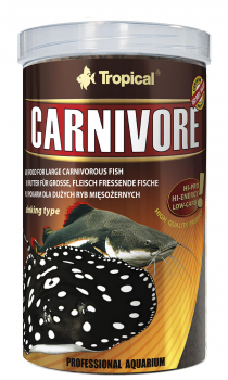 Tropical Carnivore