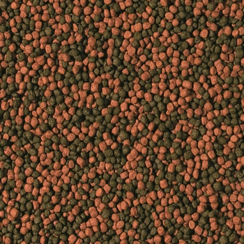 Tropical Cichlid Omnivore Small Pellet - tägliche Fütterung allesfressender Cichliden