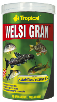 Tropical Welsi Gran