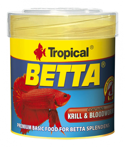 Tropical Betta