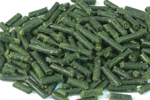 DENNERLE Crusta Brennnessel Stixx 30g - Futterzusatz für Garnelen und Schnecken