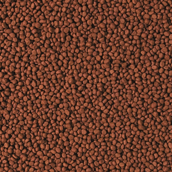 Tropical Cichlid Carnivore SMALL Pellet - für fleischfressende Cichliden
