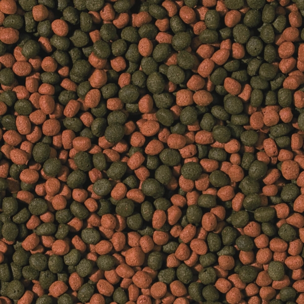 Tropical Cichlid Omnivore Medium Pellet - für Allesfressende Cichliden