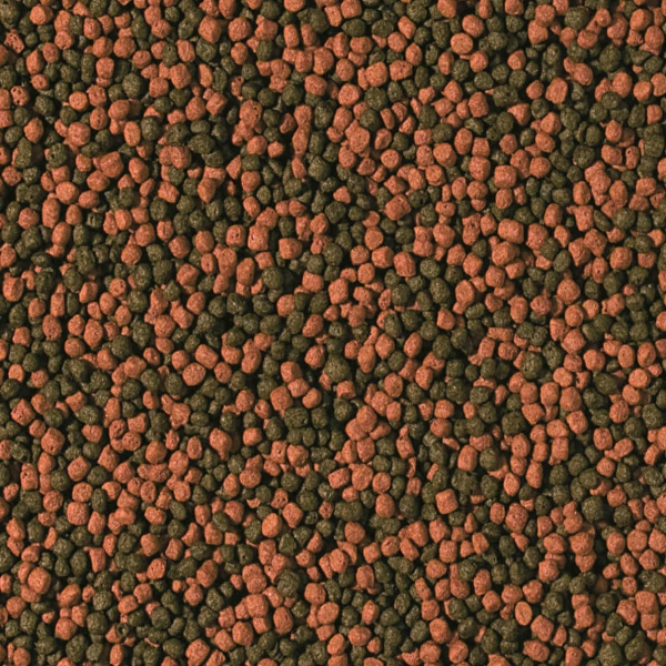 Tropical Cichlid Omnivore Small Pellet - tägliche Fütterung allesfressender Cichliden