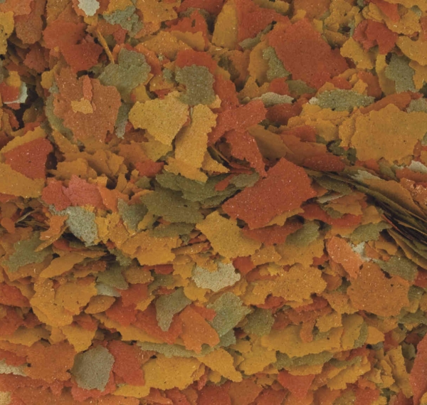 Tropical Goldfisch Color Flakes
