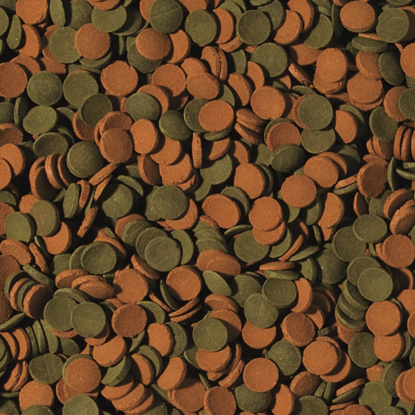 Tropical Mini-Wafers MIX - für Fische, Krebstiere und Bodenbewohner